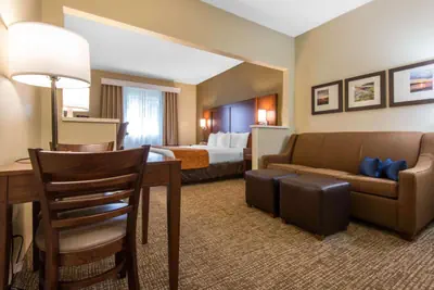 Photo 2 - Comfort Suites Rochester Henrietta University Area