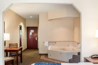 Photo 3 - Comfort Inn & Suites Hamburg - Buffalo South