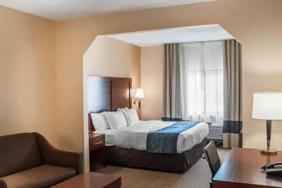 Photo 5 - Comfort Inn & Suites Hamburg - Buffalo South