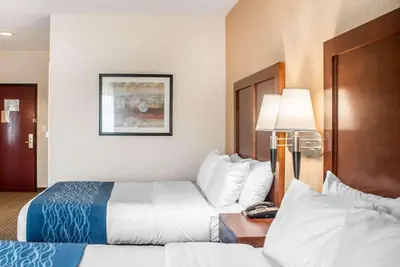 Photo 2 - Comfort Inn & Suites Hamburg - Buffalo South