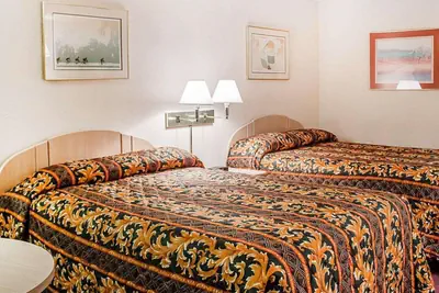 Photo 3 - Rodeway Inn Findlay University Area