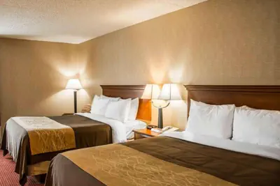 Photo 2 - Quality Inn Springboro West