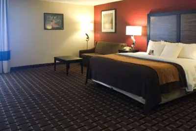 Photo 5 - Quality Inn Edmund Pettus Bridge area