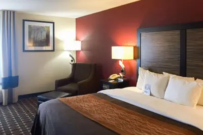 Photo 3 - Quality Inn Edmund Pettus Bridge area