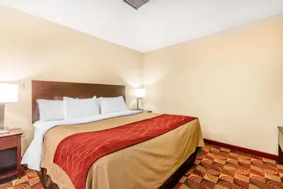 Photo 4 - Comfort Inn & Suites Jasper Hwy 78 West