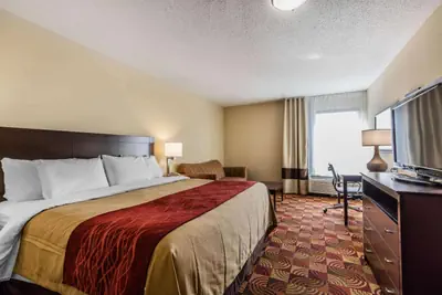 Photo 5 - Comfort Inn & Suites Jasper Hwy 78 West
