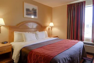 Photo 3 - Quality Inn & Suites Malvern