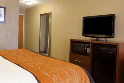 Photo 3 - Quality Inn & Suites I-40 East