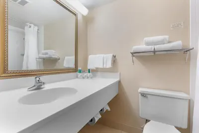 Photo 3 - Holiday Inn Express Chicago-Downers Grove by IHG