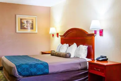 Photo 3 - Motel 6 Prattville AL