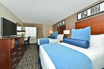 Photo 2 - Wyndham Garden Elk Grove Village - O'Hare