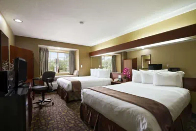 Photo 3 - Microtel Inn & Suites by Wyndham Lithonia/Stone Mountain