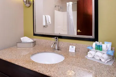 Photo 2 - Holiday Inn Express Hotel & Suites Youngstown - North Lima/Boardman by IHG