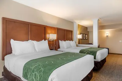 Photo 5 - Comfort Inn & Suites Schenectady - Scotia