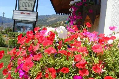 Photo 2 - Starlight Lodge
