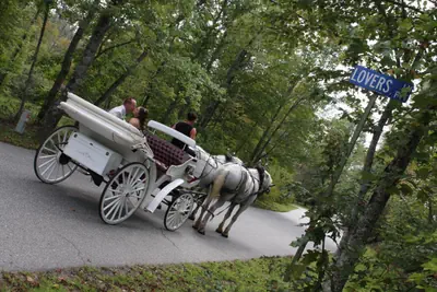 Photo 5 - Forrest Hills Mountain Resort