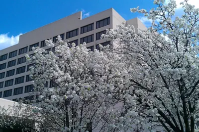 Photo 2 - Capitol Plaza Hotel Jefferson City