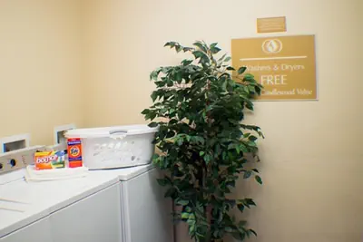 Photo 3 - Candlewood Suites Jacksonville by IHG