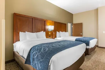 Photo 3 - Comfort Suites Greensboro-High Point