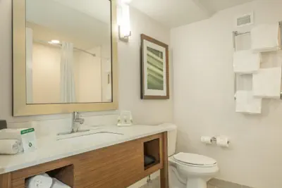 Photo 3 - Holiday Inn Hotel and Suites Peachtree City by IHG