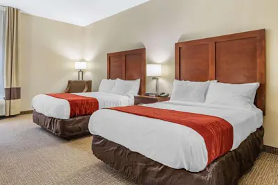 Photo 4 - Comfort Inn & Suites Clemson - University Area