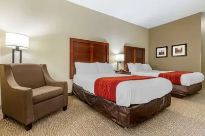 Photo 5 - Comfort Inn & Suites Clemson - University Area