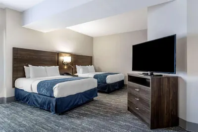 Photo 5 - Comfort Suites McDonough Atlanta South