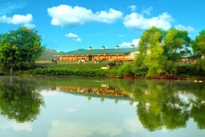 Photo 3 - Southern Cross Guest Ranch