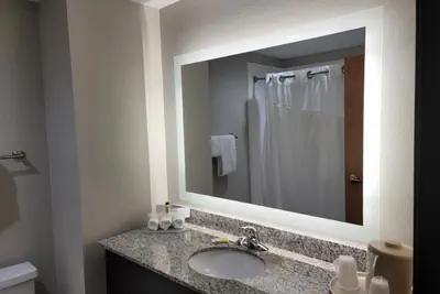 Photo 3 - Holiday Inn Express & Suites Wilson-Downtown by IHG