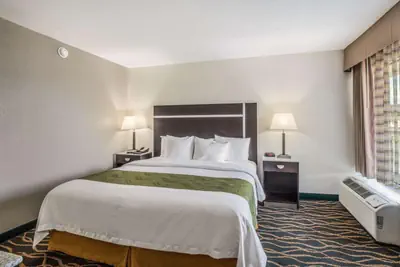 Photo 5 - Quality Inn & Suites Conference Center Thomasville