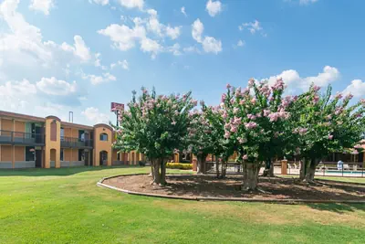Photo 2 - Red Roof Inn Forsyth