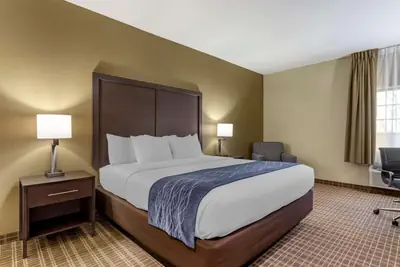 Photo 5 - Comfort Inn St Robert-Fort Leonard Wood