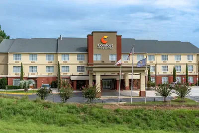 Photo 4 - Comfort Inn & Suites Millbrook-Prattville
