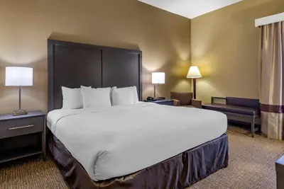 Photo 5 - Comfort Inn Opelika - Auburn