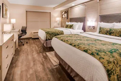 Photo 3 - City Express by Marriott Pooler Savannah Airport