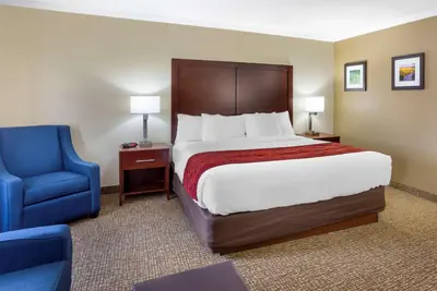 Photo 2 - Comfort Inn Hoffman Estates - Schaumburg