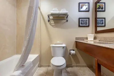 Photo 4 - Comfort Inn & Suites Farmington - Victor
