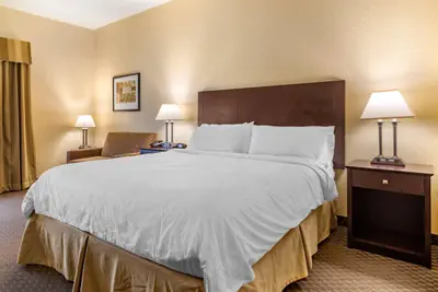Photo 5 - Comfort Inn & Suites Dahlonega University Area