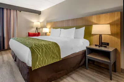 Photo 5 - Comfort Inn & Suites Liverpool - Syracuse North