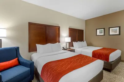 Photo 4 - Comfort Inn & Suites Canton Riverstone Area