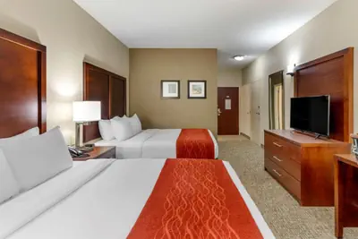 Photo 5 - Comfort Inn & Suites Canton Riverstone Area