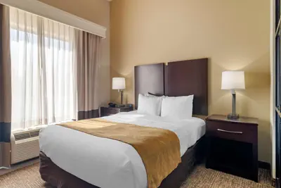 Photo 2 - Comfort Suites Byron Warner Robins