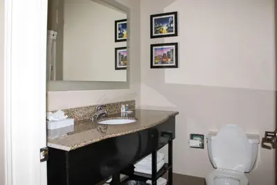 Photo 4 - Comfort Inn & Suites Fultondale Gardendale I-65