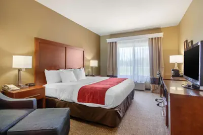 Photo 5 - Comfort Inn & Suites Pittsburg KS