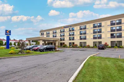 Photo 2 - Comfort Inn Binghamton I-81
