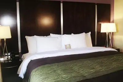 Photo 4 - Comfort Inn & Suites Dothan East