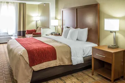Photo 3 - Comfort Inn & Suites Cedar Rapids North - Collins Road