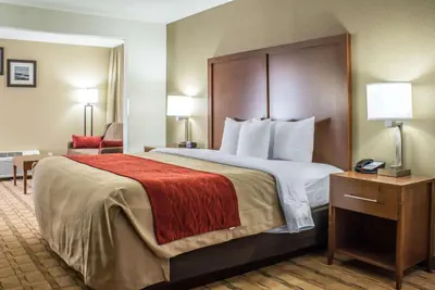 Photo 4 - Comfort Inn & Suites Cedar Rapids North - Collins Road