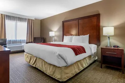 Photo 3 - Comfort Inn & Suites Leeds I-20