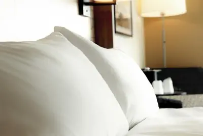 Photo 5 - Holiday Inn Hotel & Suites Overland Park-Convention Center by IHG